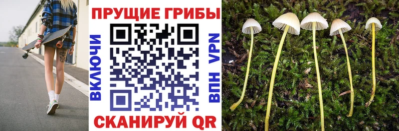 Псилоцибиновые грибы ЛСД  Новоржев 